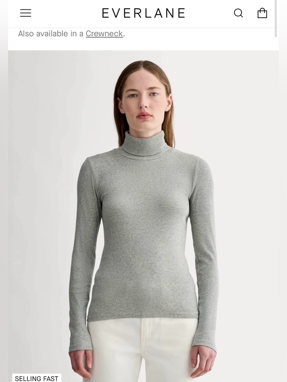 Everlane Heather Gray Turtleneck Sweater